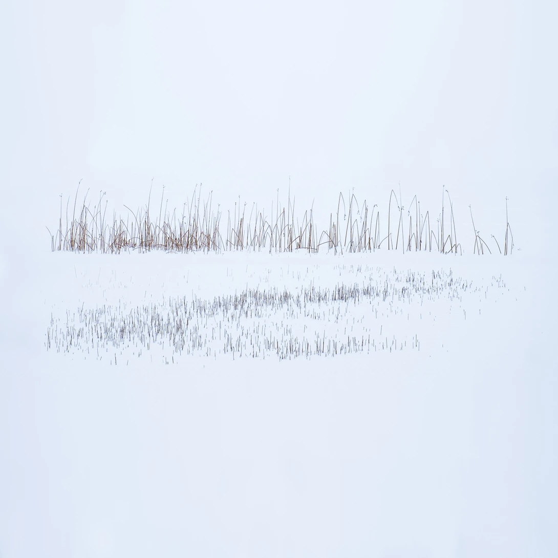 View 38d82804474256e923858945f066b117.jpg by Julian Macedo