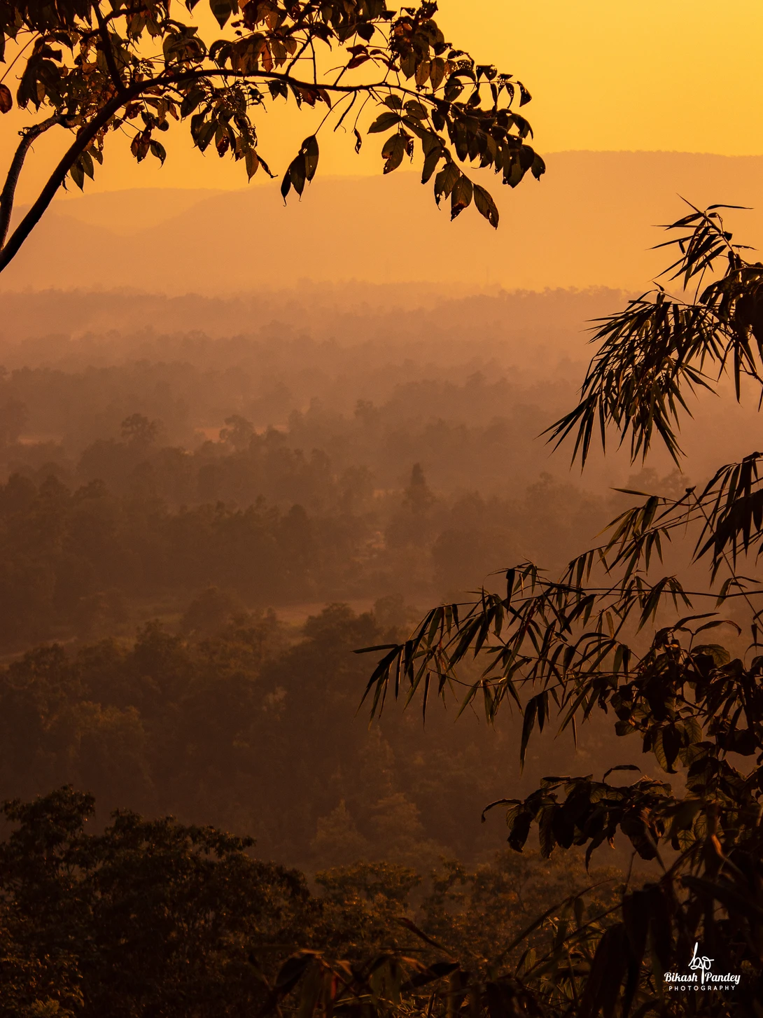 View 64f18b88bc81c7e00979fcf347480d0b.jpg by BIKASH PANDEY