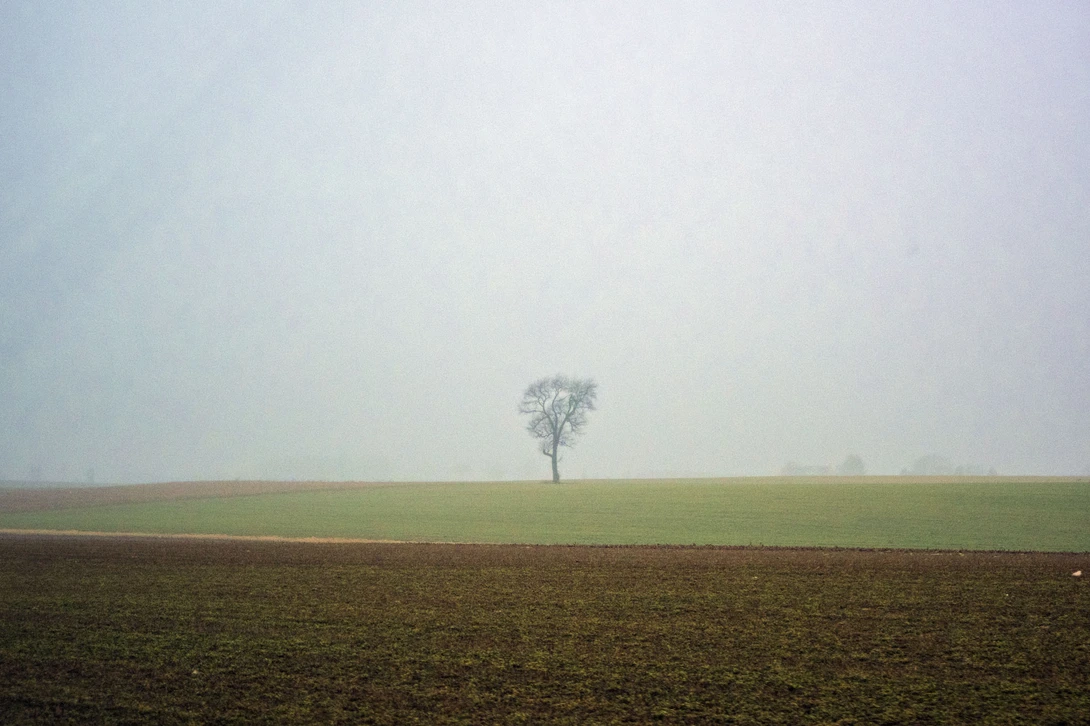 View 7653294d3787893649bcd4b841e93d24.jpg by Andrew Williams
