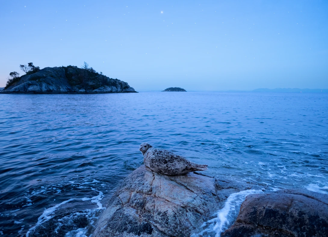 View 879dd1a8e8910caa2e49dfe0c65579cf.jpg by Jaspreet Sidhu
