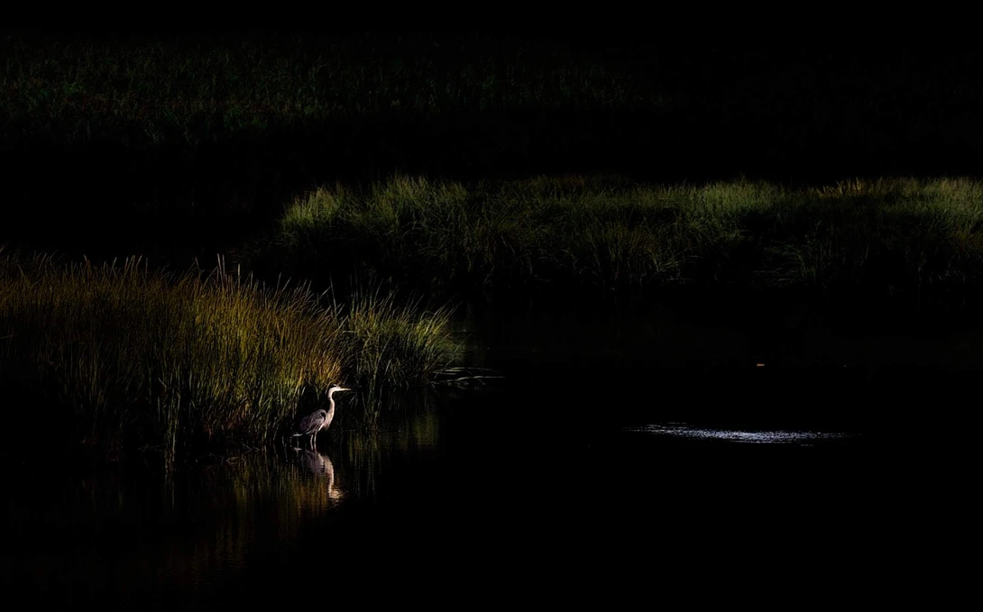 View 903e9ee40f318fddd362f67aa0931d80.jpg by Ruth Carll