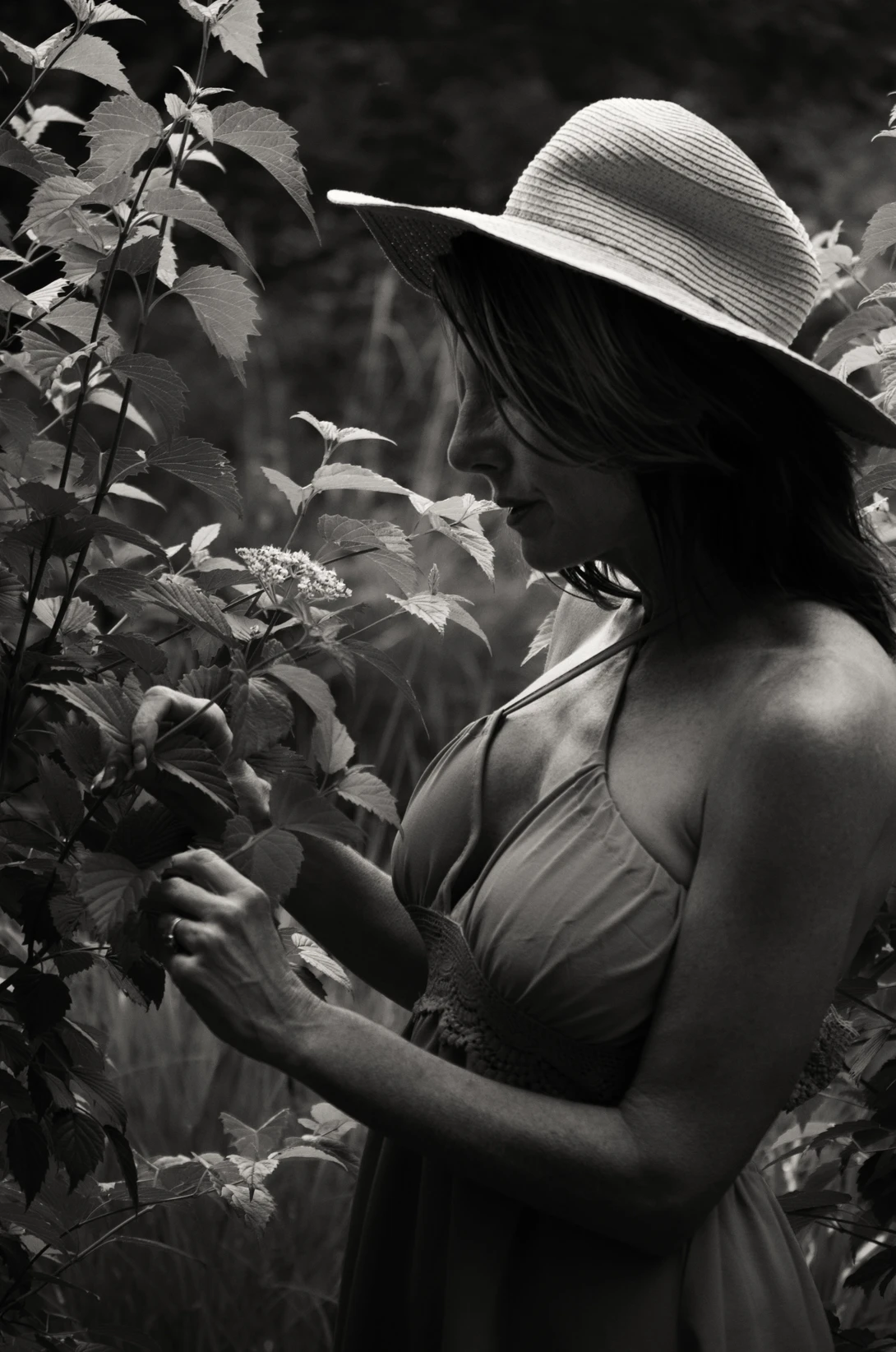 View a2181263831dbe34d0e352b81d0b7227.jpg by Bandanna Man