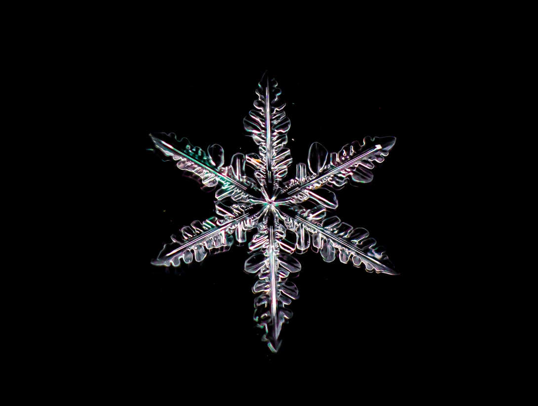 View adcbe3705020abf7364aa649aad91138.jpg by Troy Straub