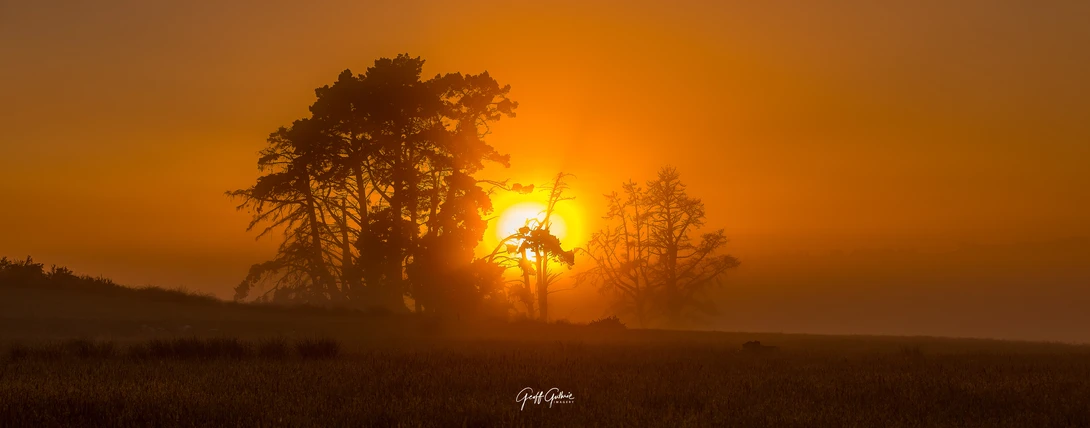 View cfe3a6b52a4a7492d9e6d1c3c0983ca9.jpg by Geoff Guthrie