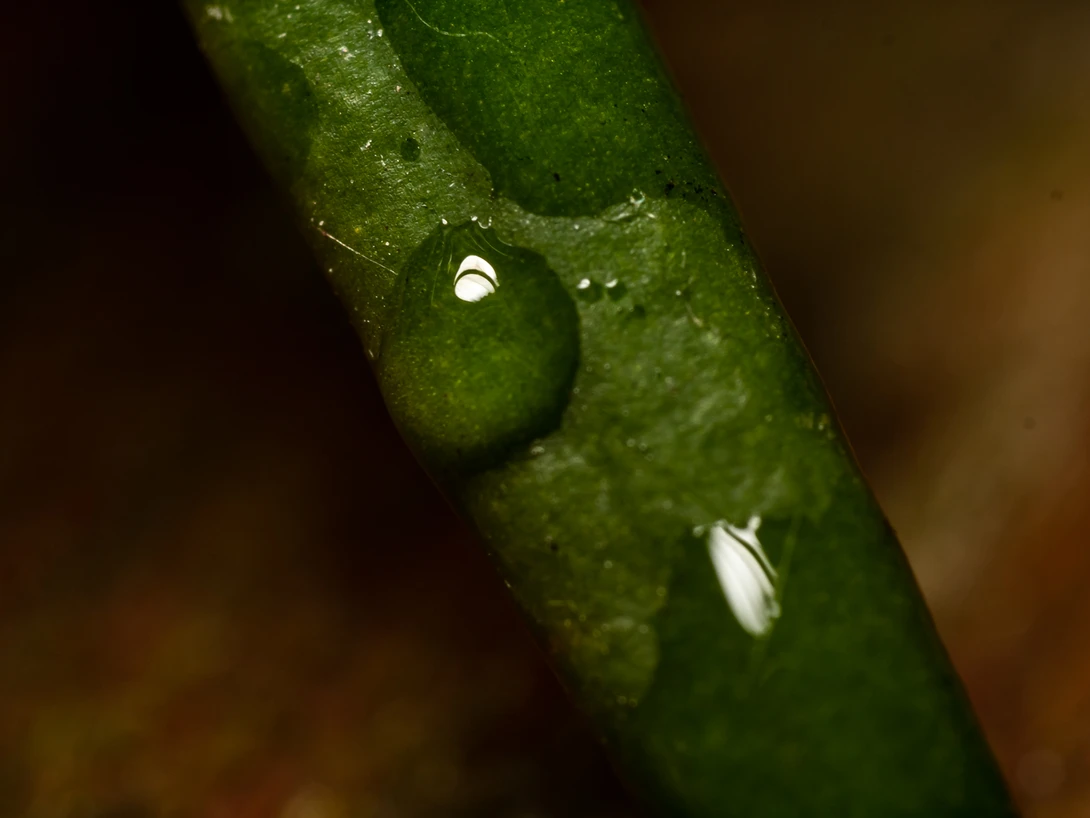 View e478a89b4286a3f10f962672f4be4960.jpg by Troy Straub