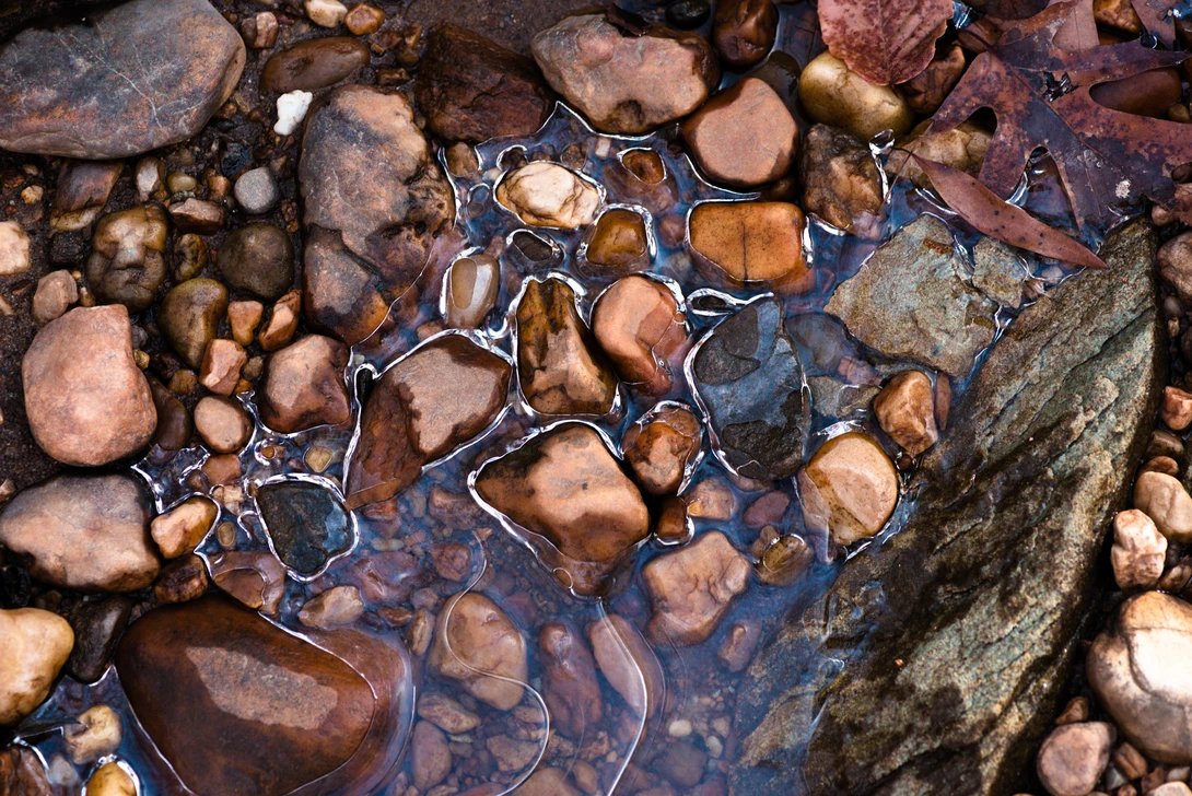 View ee1f7206c9732f007c56bd17a61624e8.jpg by Joshua Barber