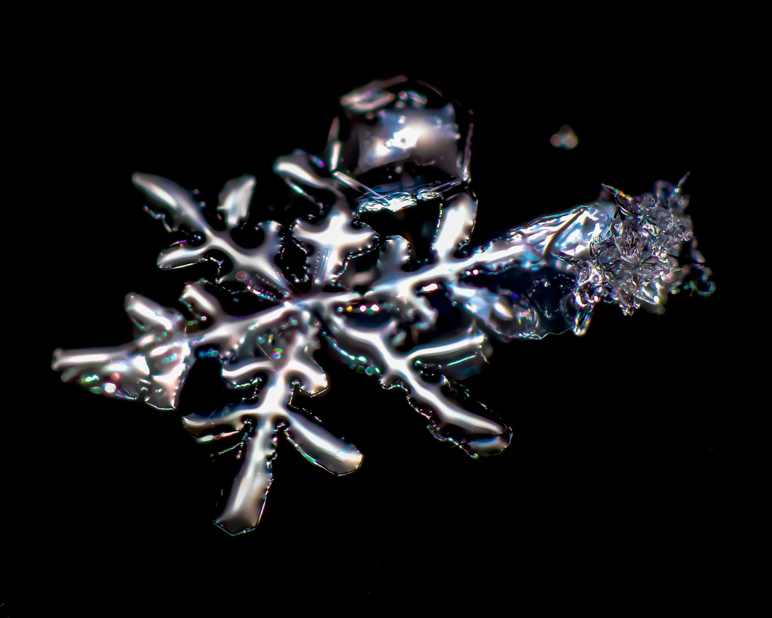 View f3fa45083cb421a75c8348d18033bdc2.jpg by Troy Straub