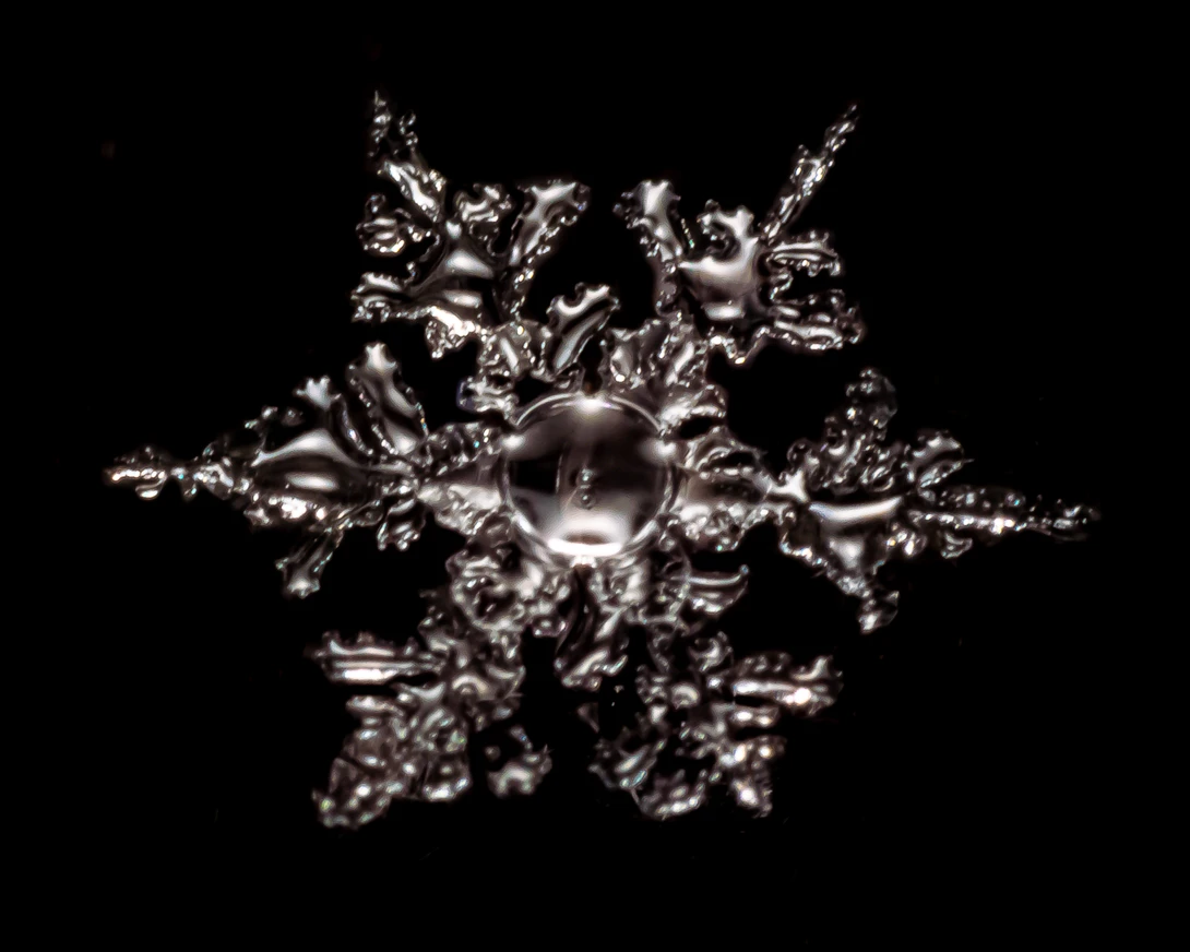 View 6502b85e64d090ad824f9585410124f4.jpg by Troy Straub
