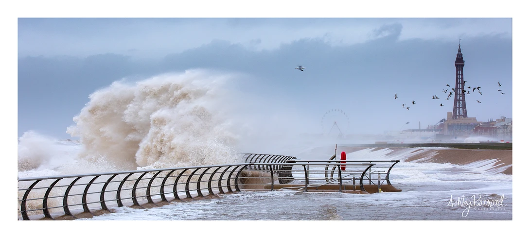 View 95809824b9cd6751b96f1c1f0f09611d.jpg by ashley Barnard
