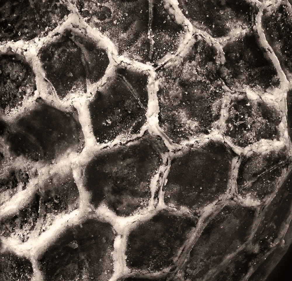 View ee038b923e7af1cc077ff9a7721f0996.jpg by Dmitry A