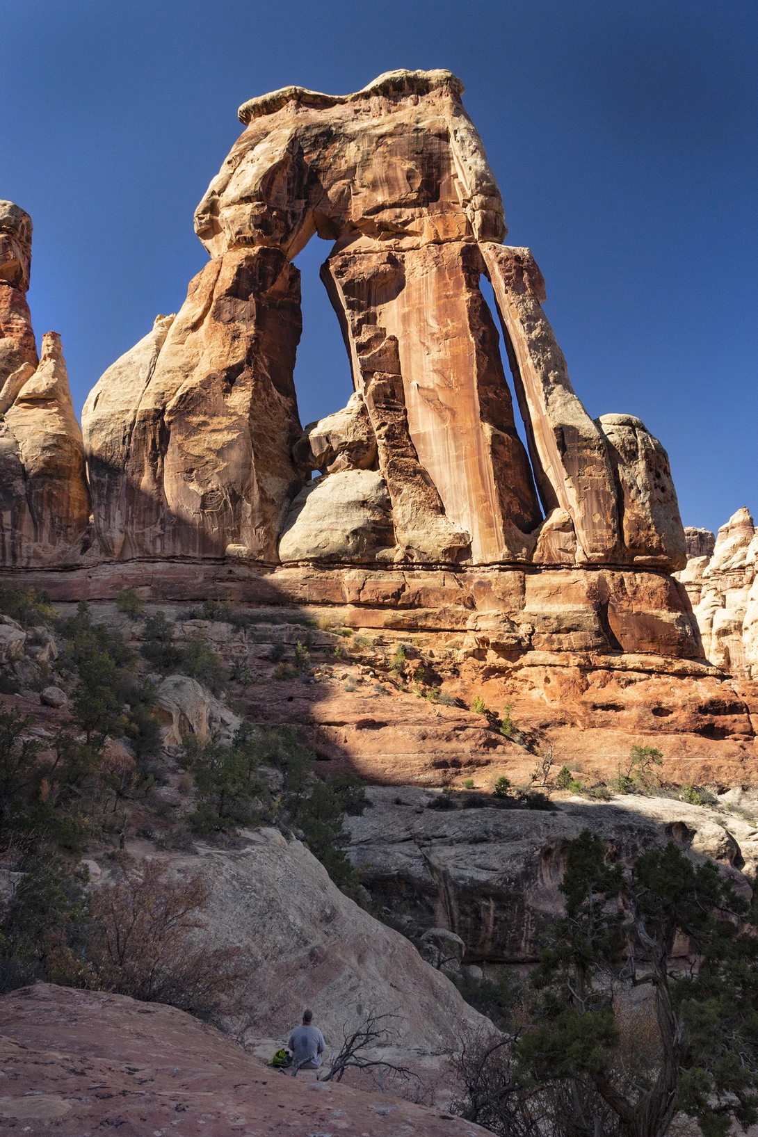 View 53b75eb48350fe8a6a78fe0ecc03ac8c.jpg by John Pless