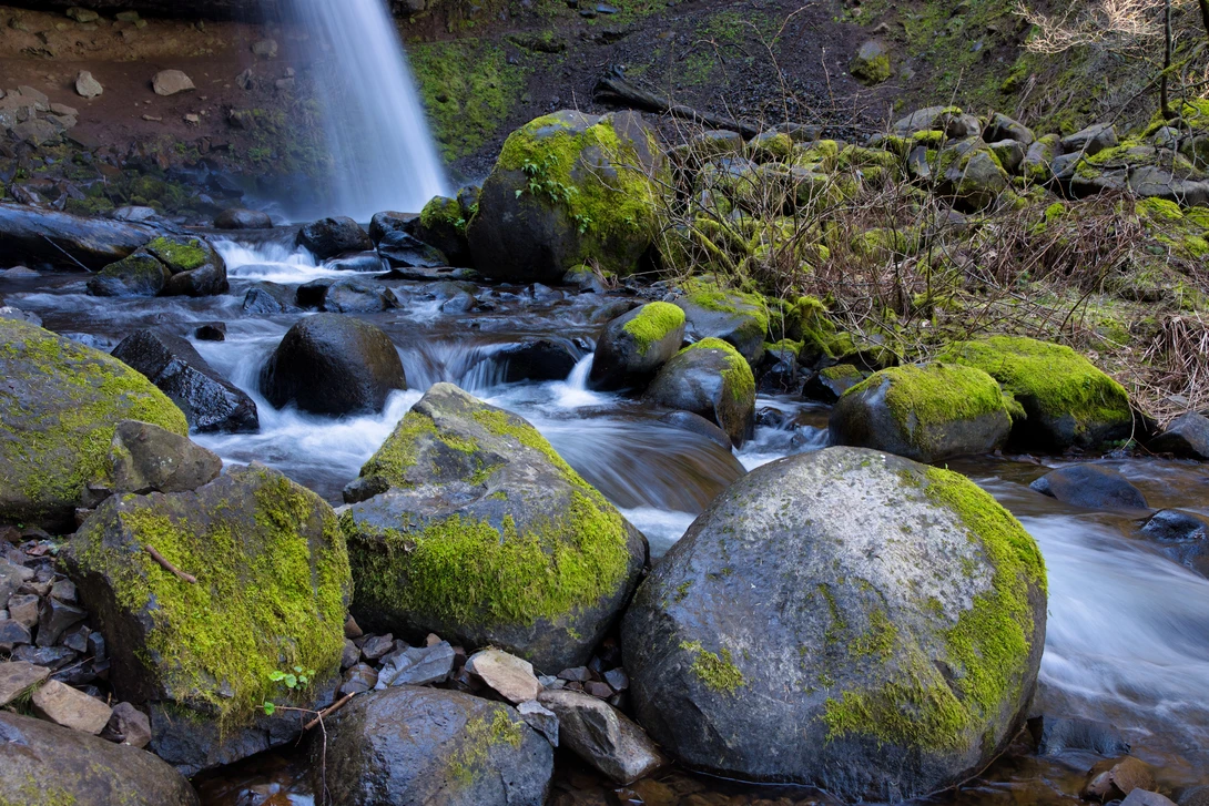 View bfa8a72f792cf1e65df4921d22cc03a4.jpg by Dean Wilson