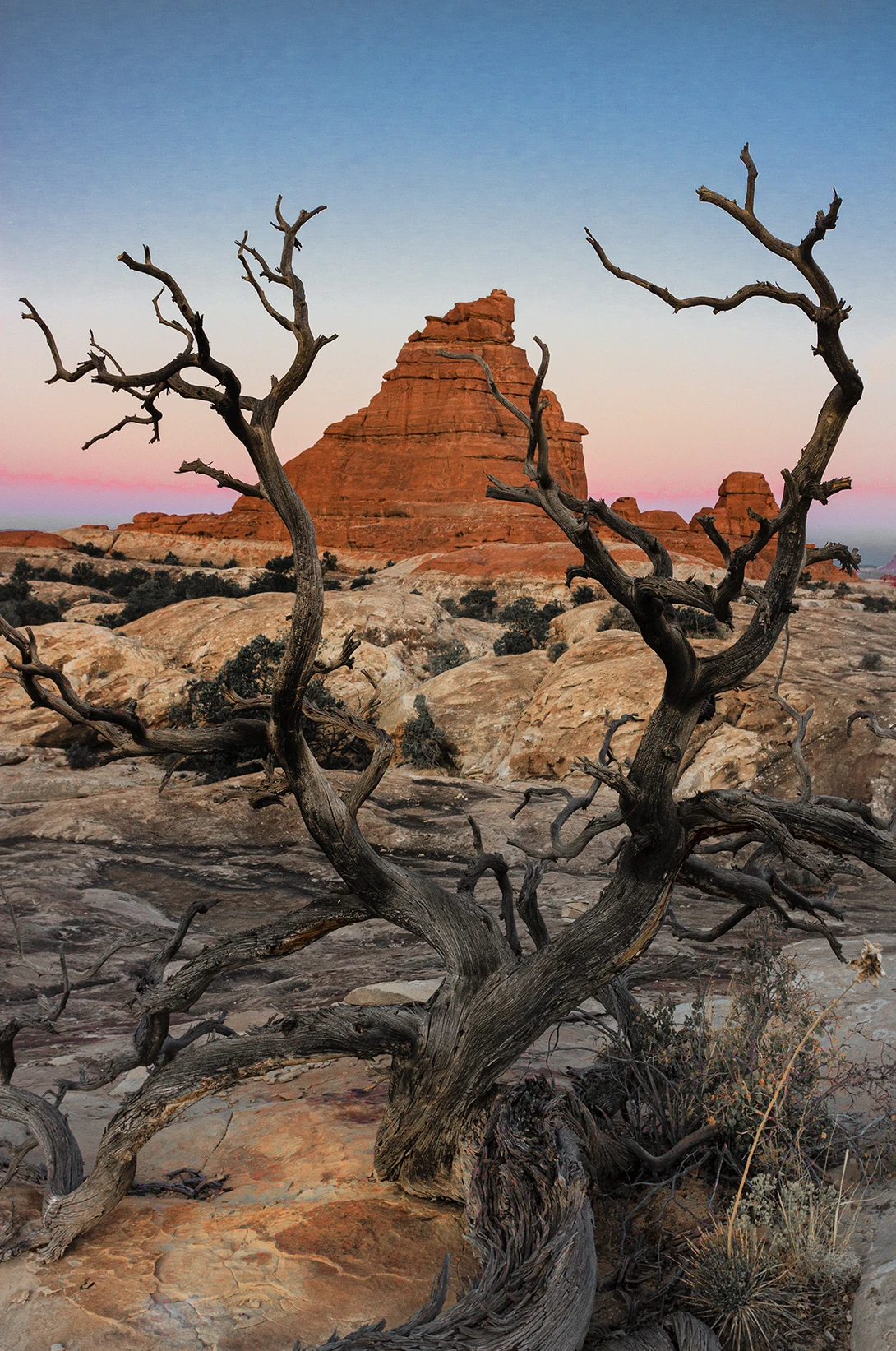 View d36e1e51164e9400d570b38b3eb5984a.jpg by John Pless