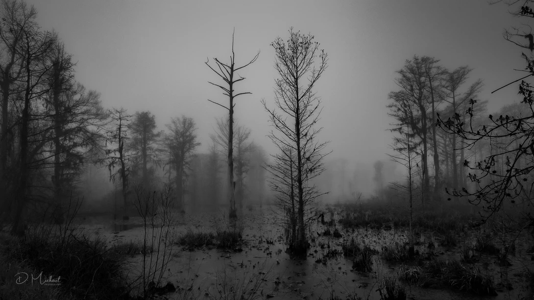 View df9434b5ffd0c5830db7b65db7209507.jpg by David Doughty