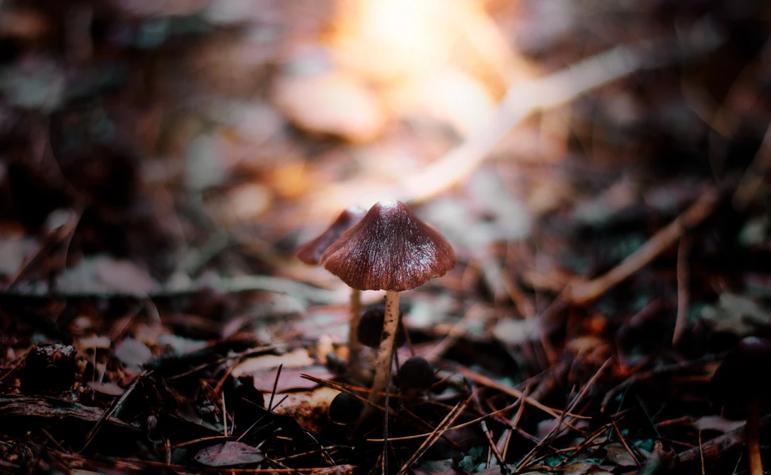 View dfec86f9b82c0692e2d2c4da29193005.jpg by Maen Rabai