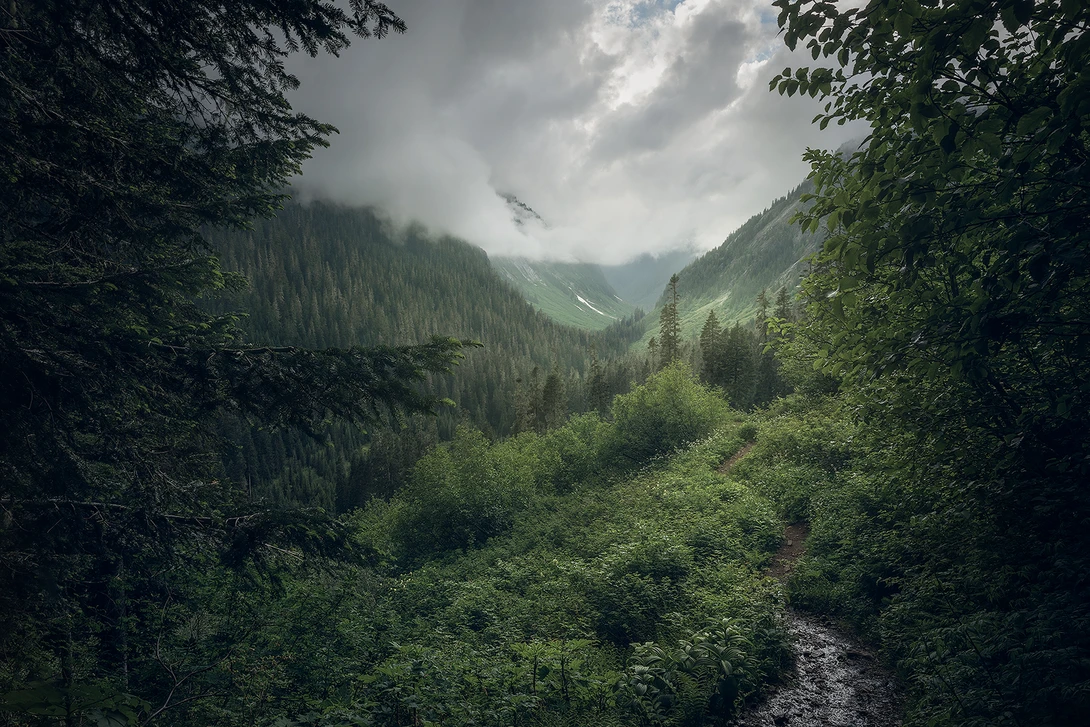 View f2c6c05662ae38a2a9ffba59974358e6.jpg by Yuriy Garnaev