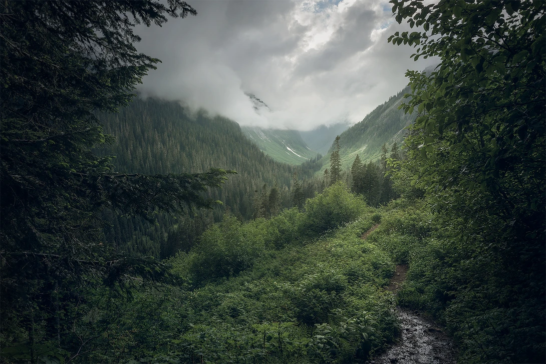 View f5bbad64f5006761d7248fc0ebd6d013.jpg by Yuriy Garnaev