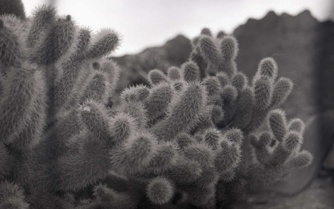 View 0aa60ec204d97e1795272c6371af031f.jpg by John Harvell