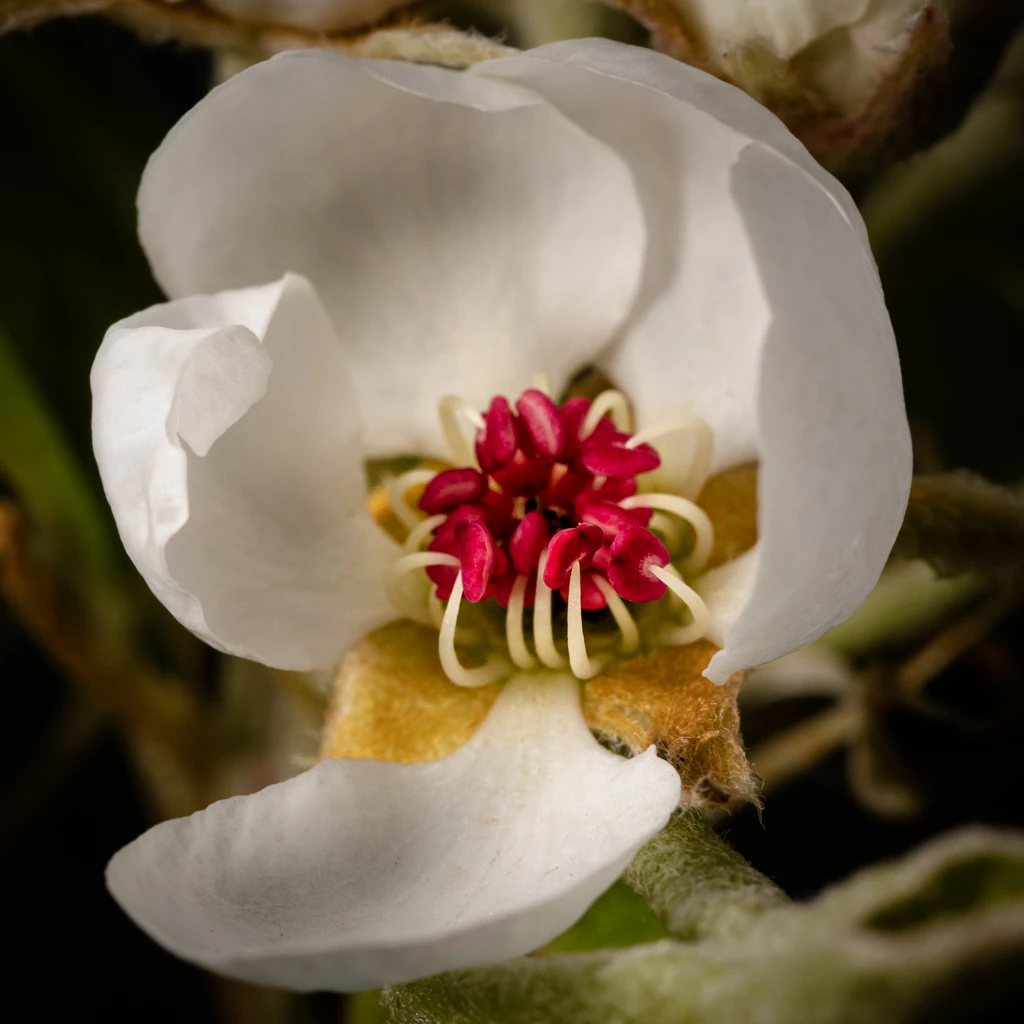 View 110aec1872964ffc8f41d300bcc2d20b.jpg by Troy Straub
