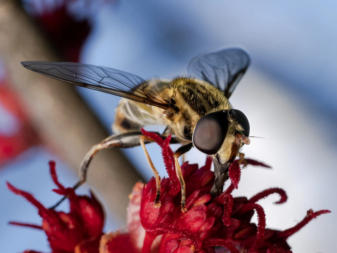 View 187c6dddd0322f617e8036e70945661b.jpg by Troy Straub