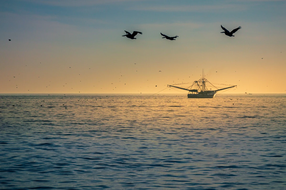 View 2d8ab4701b9d454cce691898be94f80a.jpg by Kyle Foreman