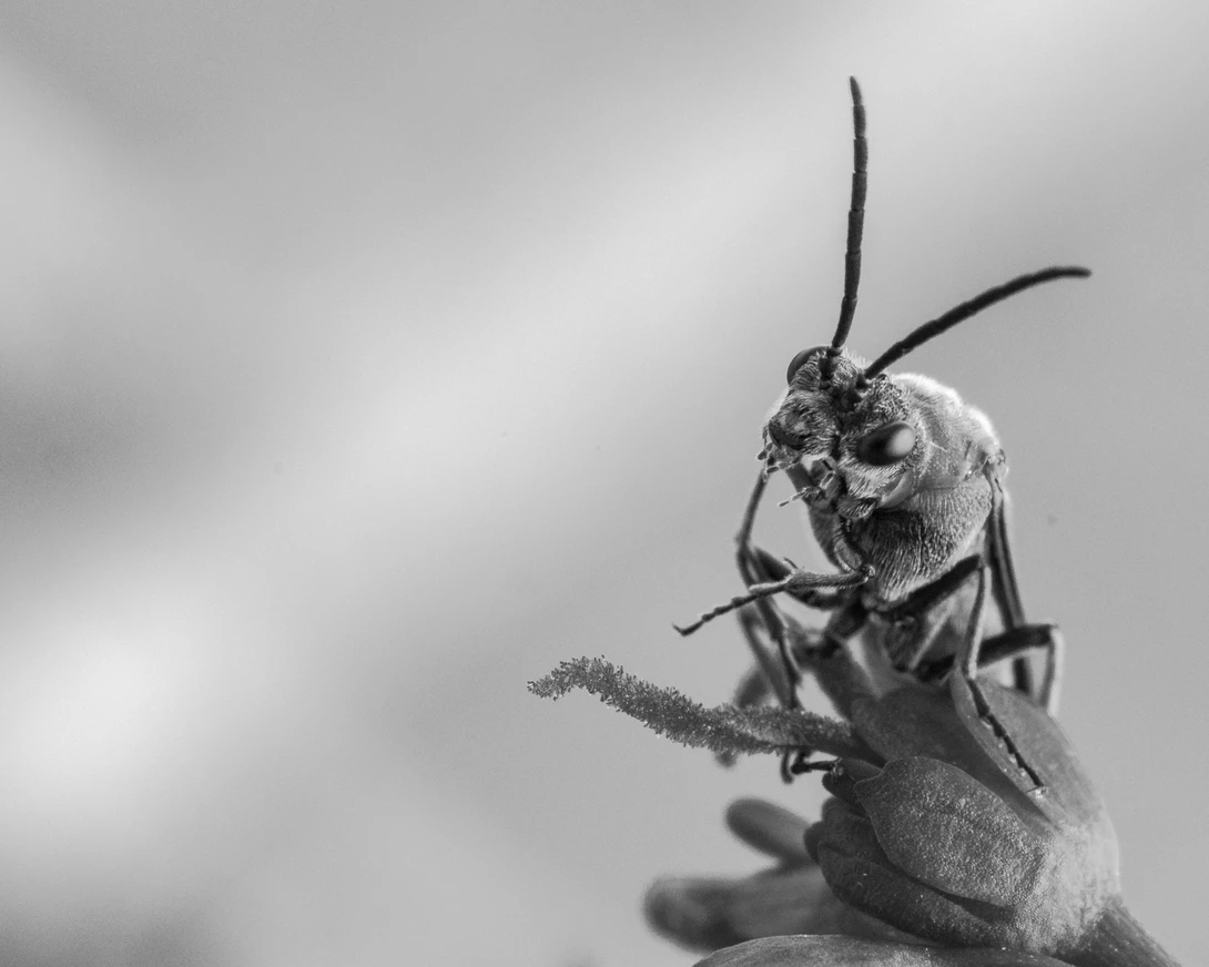 View 625393e5fe89b34530540e25cc275c79.jpg by Troy Straub