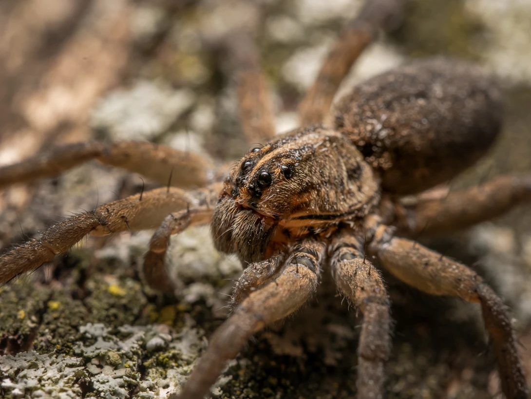 View afb2b585c03c07e07ab55d73f7661a0c.jpg by Troy Straub
