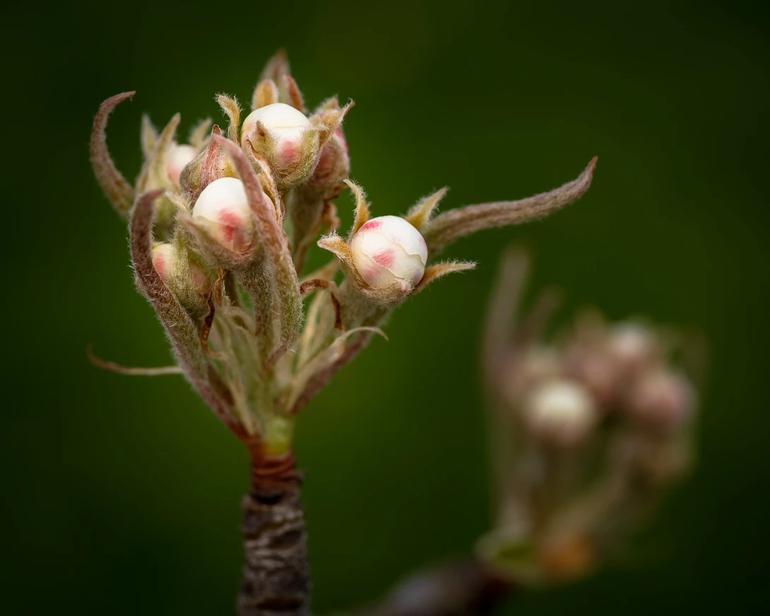 View b5bb233e284578186bf6ef30ee47809e.jpg by Troy Straub