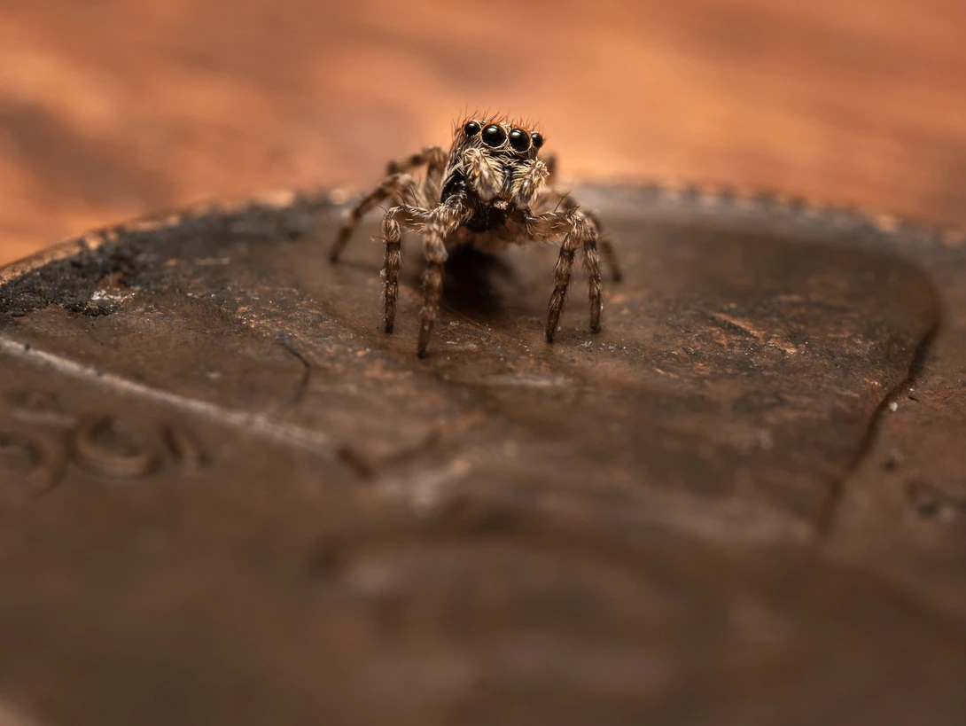 View d1901fe1b6f12e3b3e6781670aac8913.jpg by Troy Straub