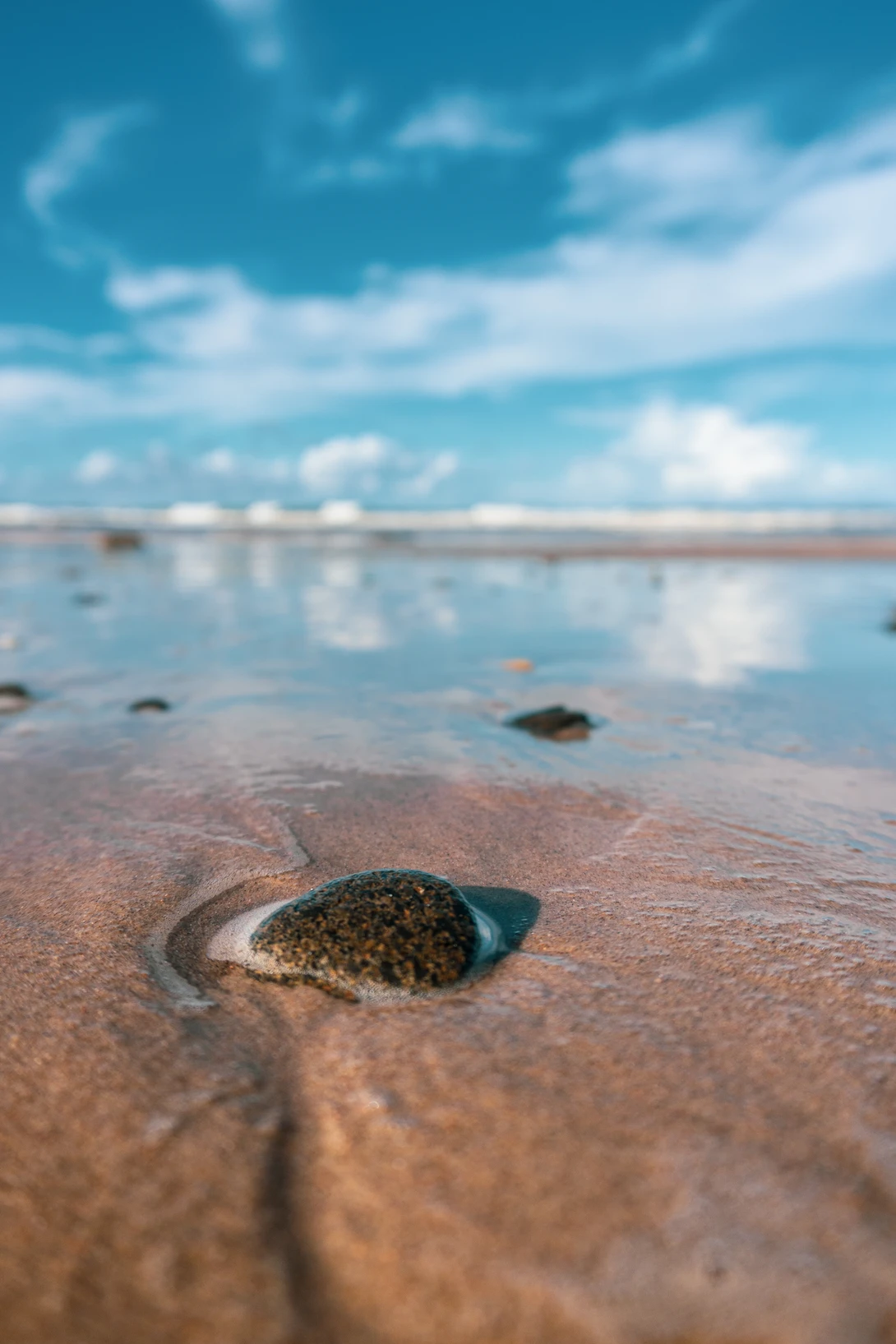 View d2192aed5799fdc262a16dc8d15d984e.jpg by Jeremy Martignago