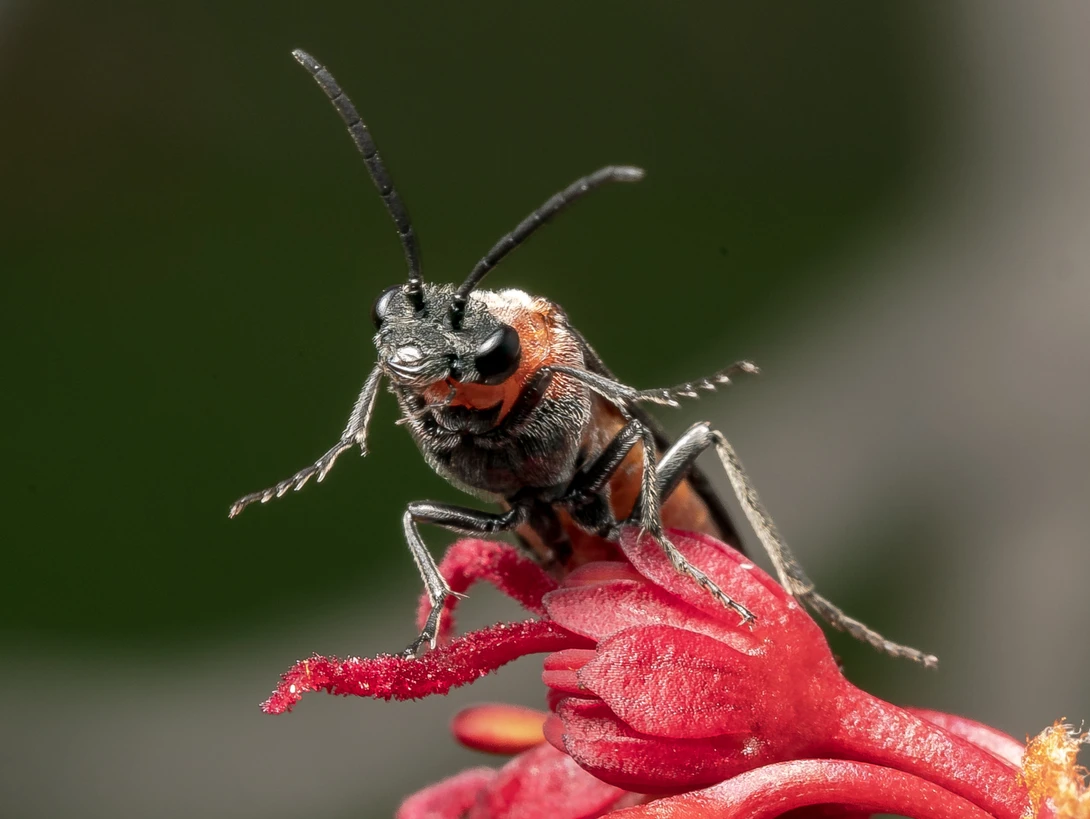 View f543f8f1c9e9f8a4418c09d4601bd24d.jpg by Troy Straub