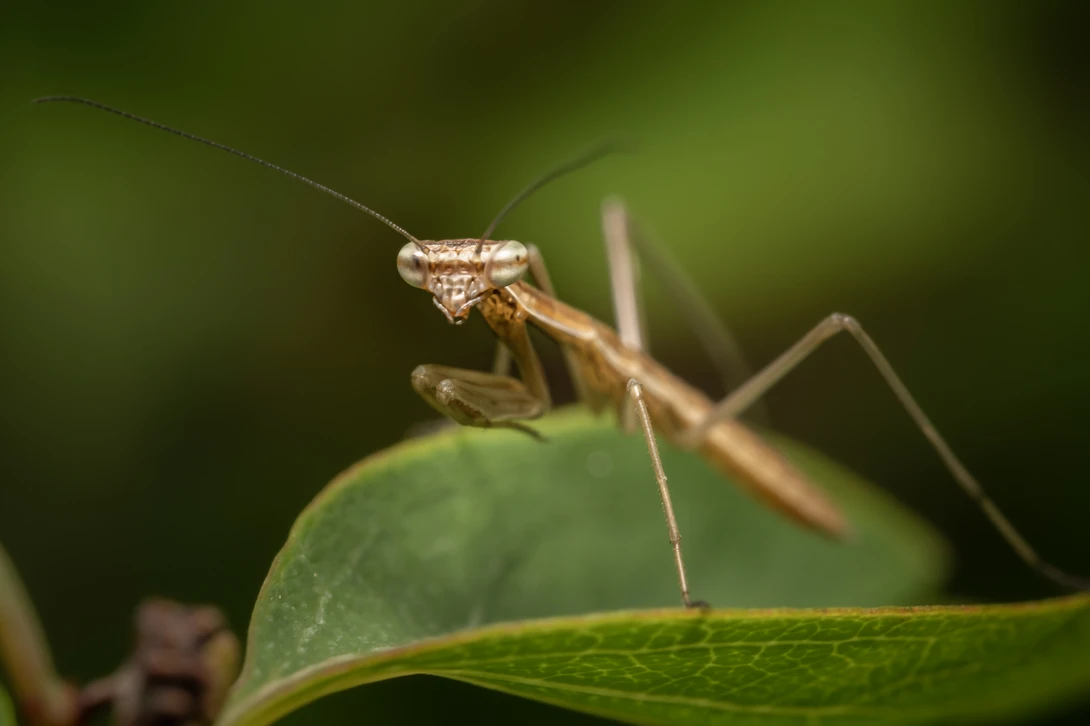 View 08f02a97df0cdf4fbecd76cf7e9c6e3f.jpg by Troy Straub