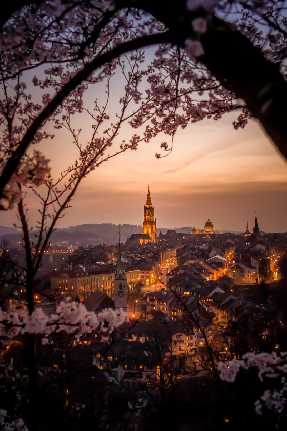 View 1815f3f9e53373ae3d923ef78ed96b23.jpg by Gian Franco Prozzillo