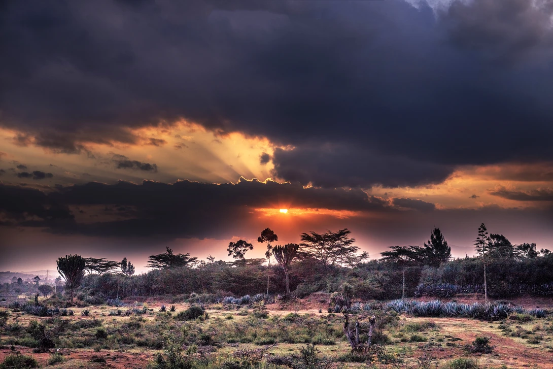 View 59f8205b3a7e323c72dd43e133bd9f58.jpg by Antony Trivet