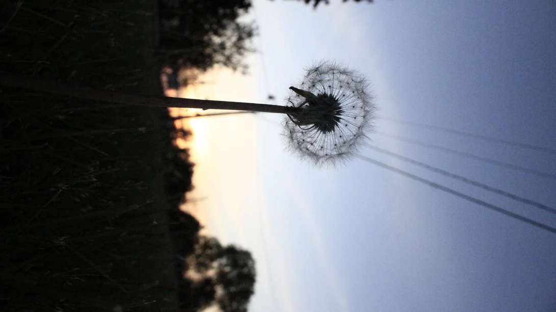View 8633861931391e1cc12ed2a9eb2a14c8.jpg by Chloe Kramer