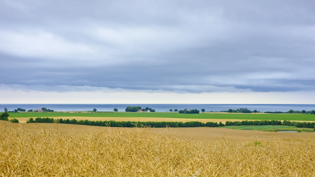 View 89b0715617b3754be3d08cd37f465de4.jpg by Sascha Eden