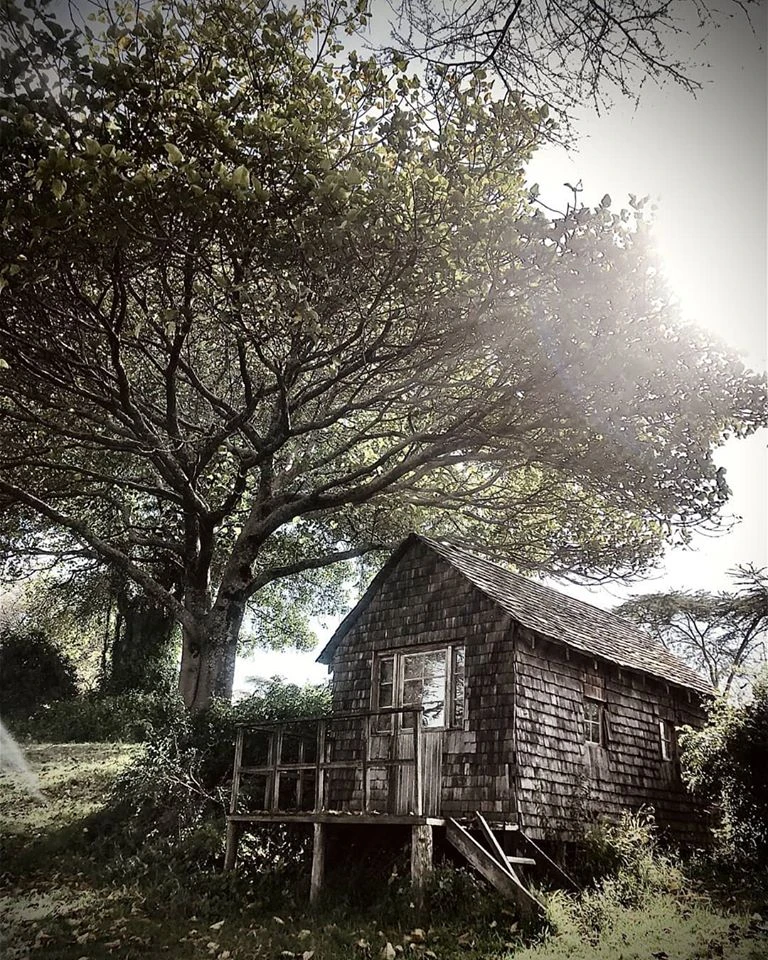 View bc4a188050108ca4dfb7758949ed6fae.jpg by Antony Trivet