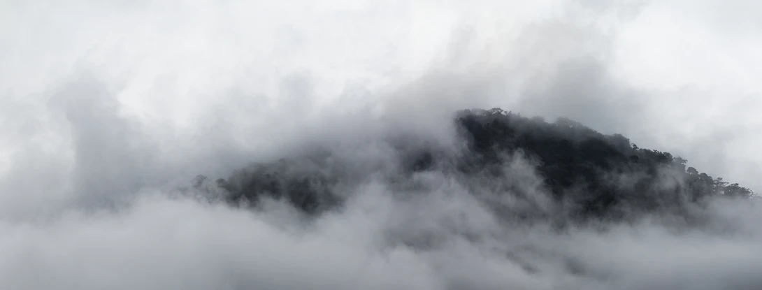 View bc800607f5e17df2aa2b93e15e633d3e.jpg by Rémi Carbonaro
