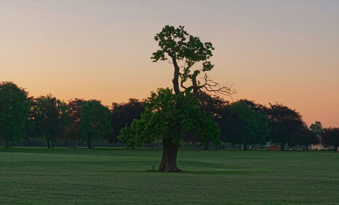 View d2af0b8ddff53f2ad9879df183fc9846.jpg by Eliott Engel