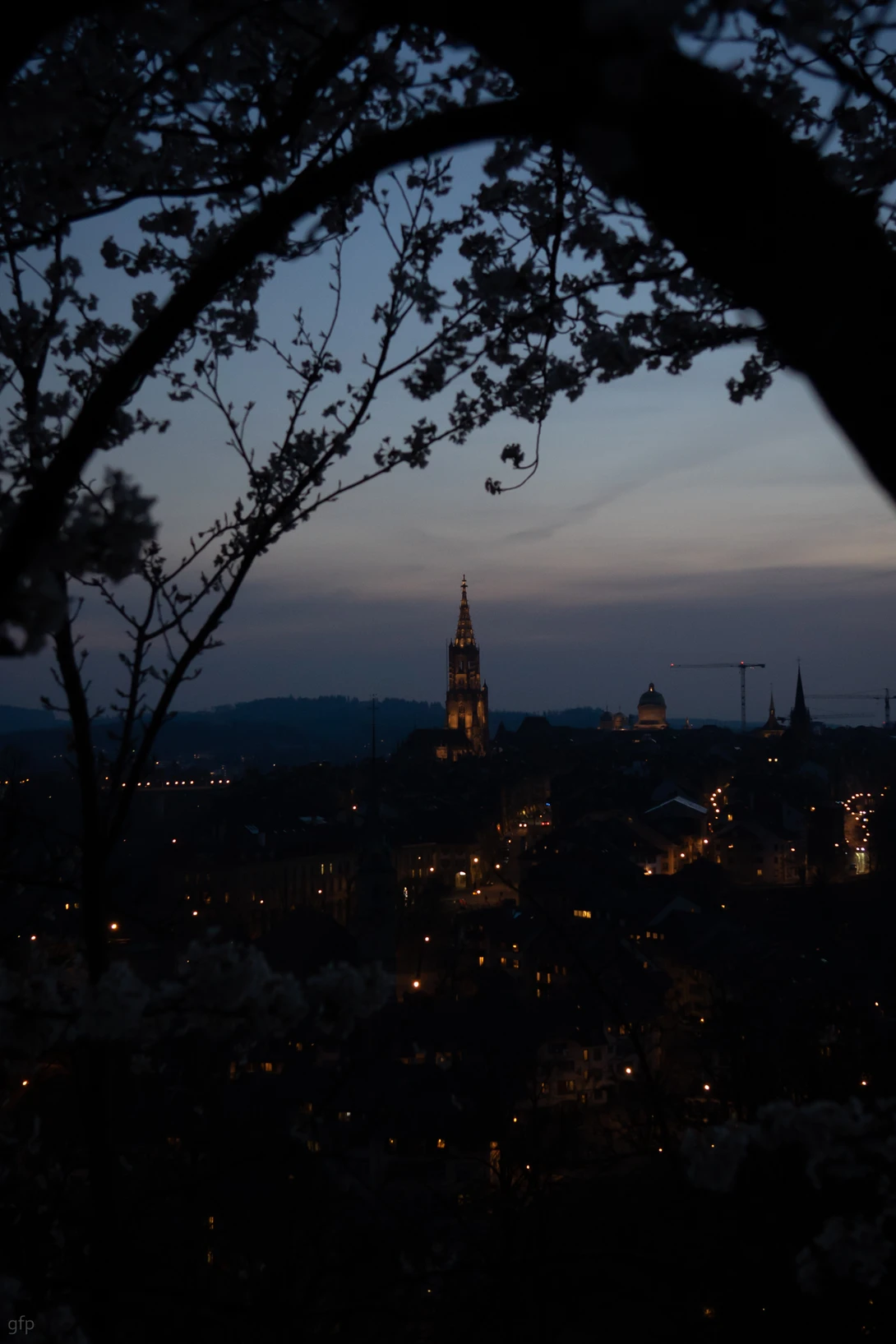 View d7913c04c3aacf87755ca0dbffaa4b3c.jpg by Gian Franco Prozzillo