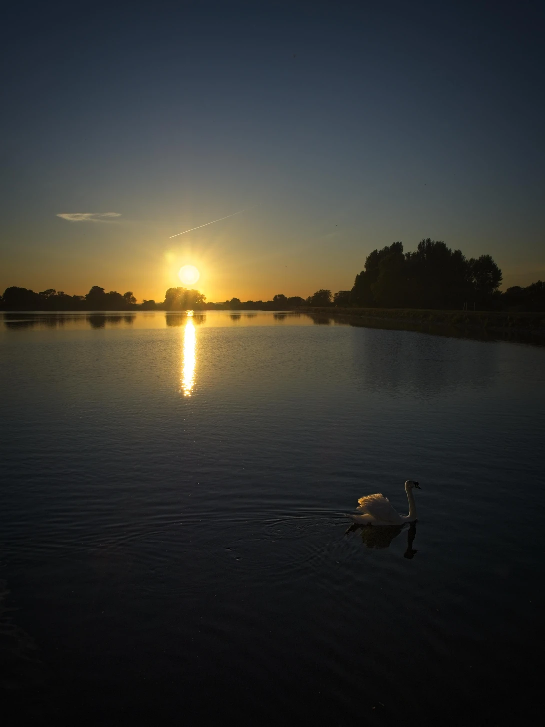 View e77c1db03f68d83e670cd5b45f97d2ea.jpg by Ben Coyte
