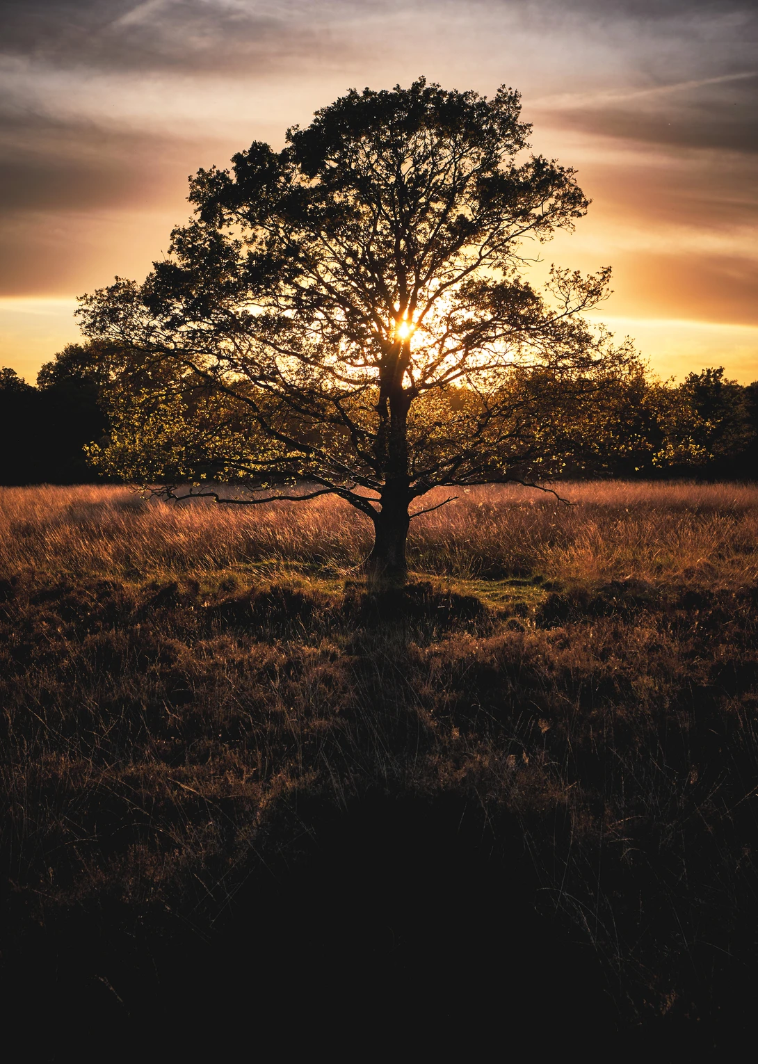View Local sunset by Pieter de Vey Mestdagh