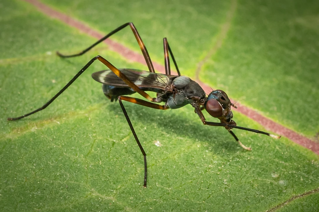 View 720b675090c705b6b8e623affabf28bc.jpg by Troy Straub