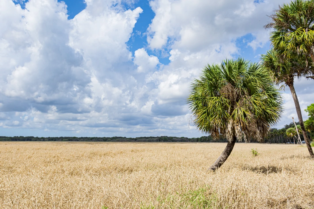 View 136b0df40a3d876dbd17670c12176514.jpg by Robert Barr