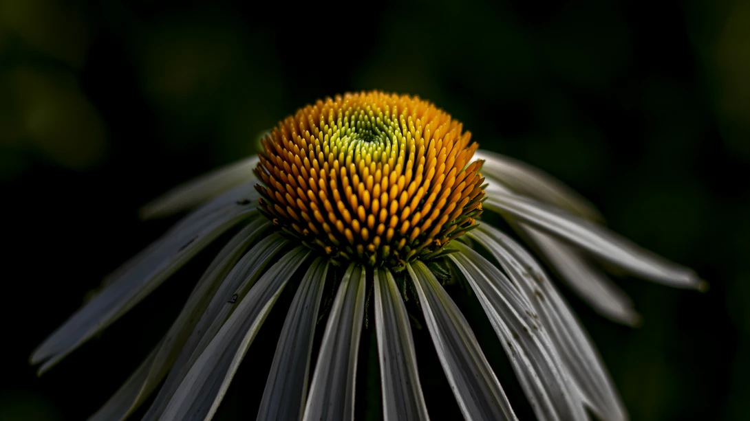 View 1881e234776c4ec93dc7be1743fcaf7c.jpg by Toby Hagan