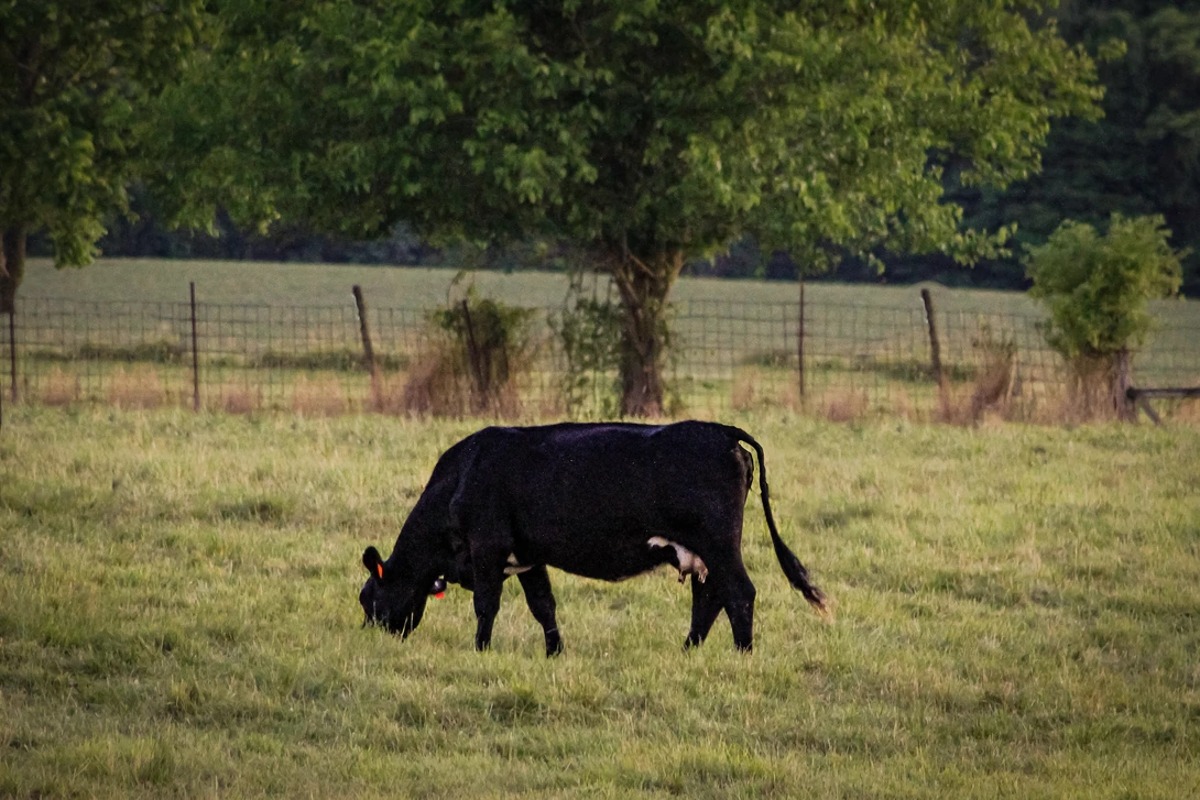 View 1a5745c215dd9e20e4f022ea4922fd80.jpg by Chloe Kramer