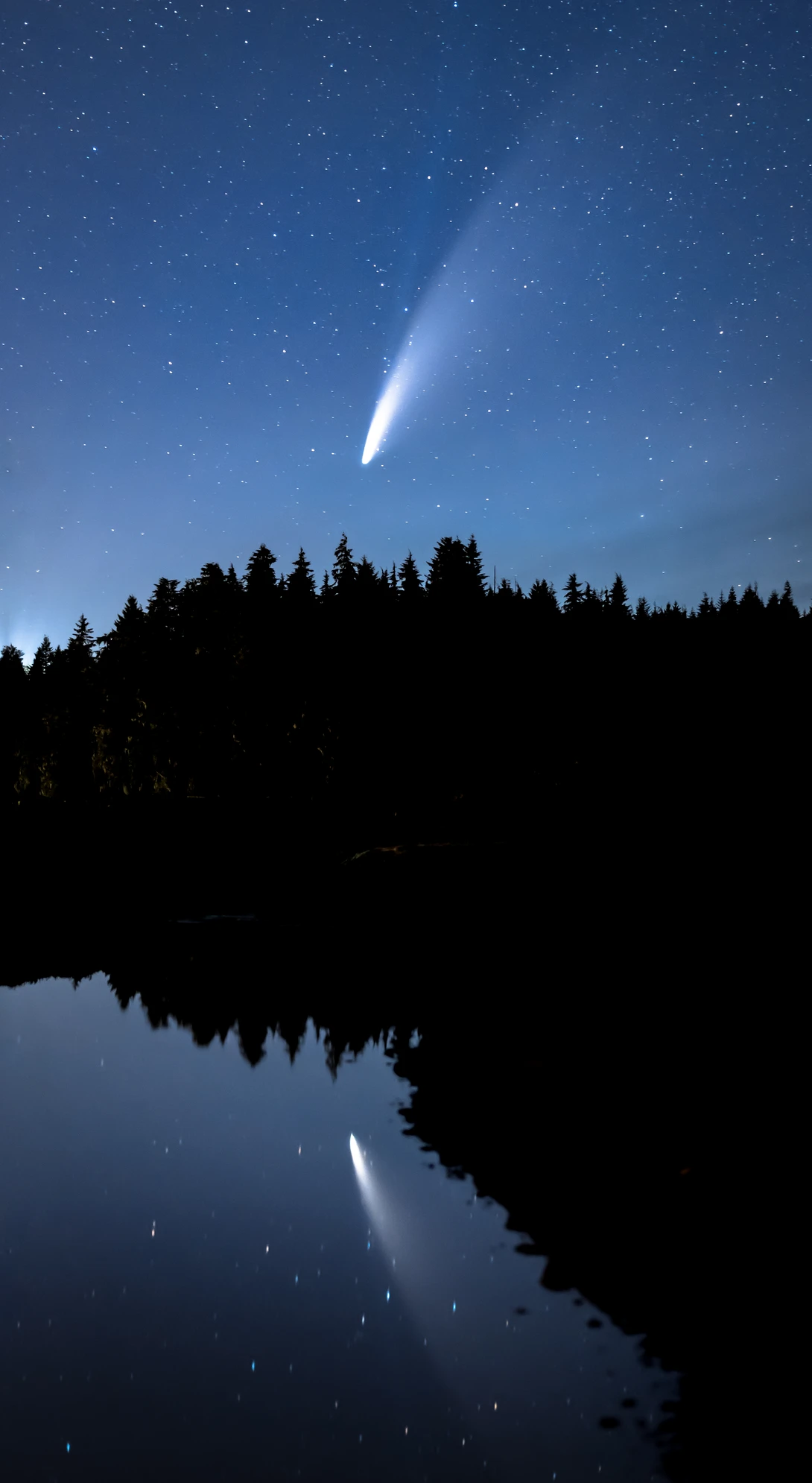 View 594e7a76c1b131b3479aa2949bfcd3c3.jpg by Bodkin's Best Photography