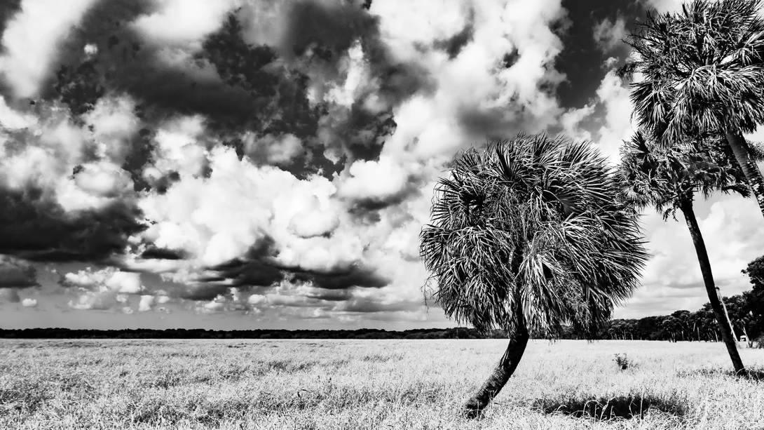 View 7232344f860d73be9aa767b0879ae3f6.jpg by Robert Barr