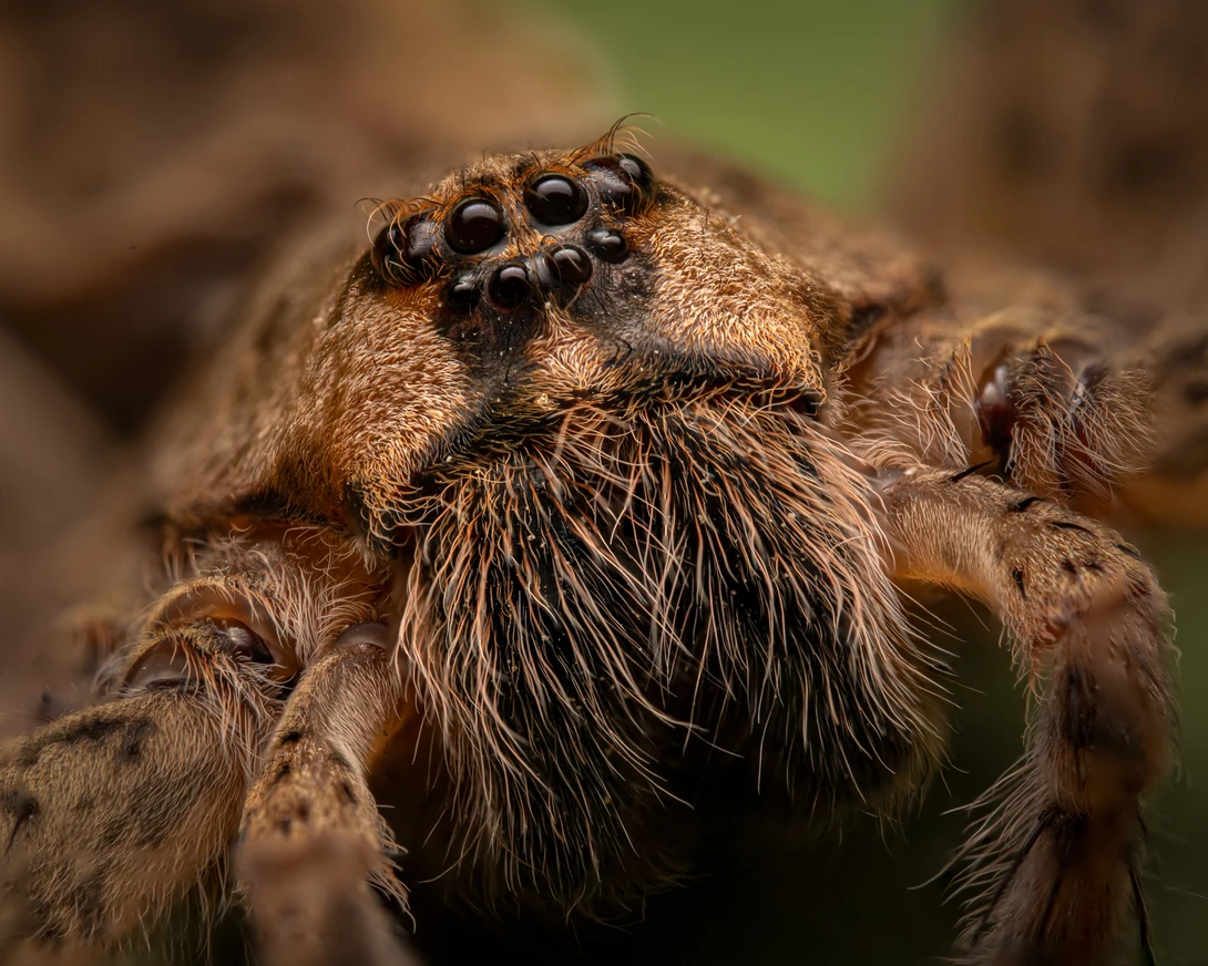 View 7e1551934293202986ba4d0e4237e2ef.jpg by Troy Straub