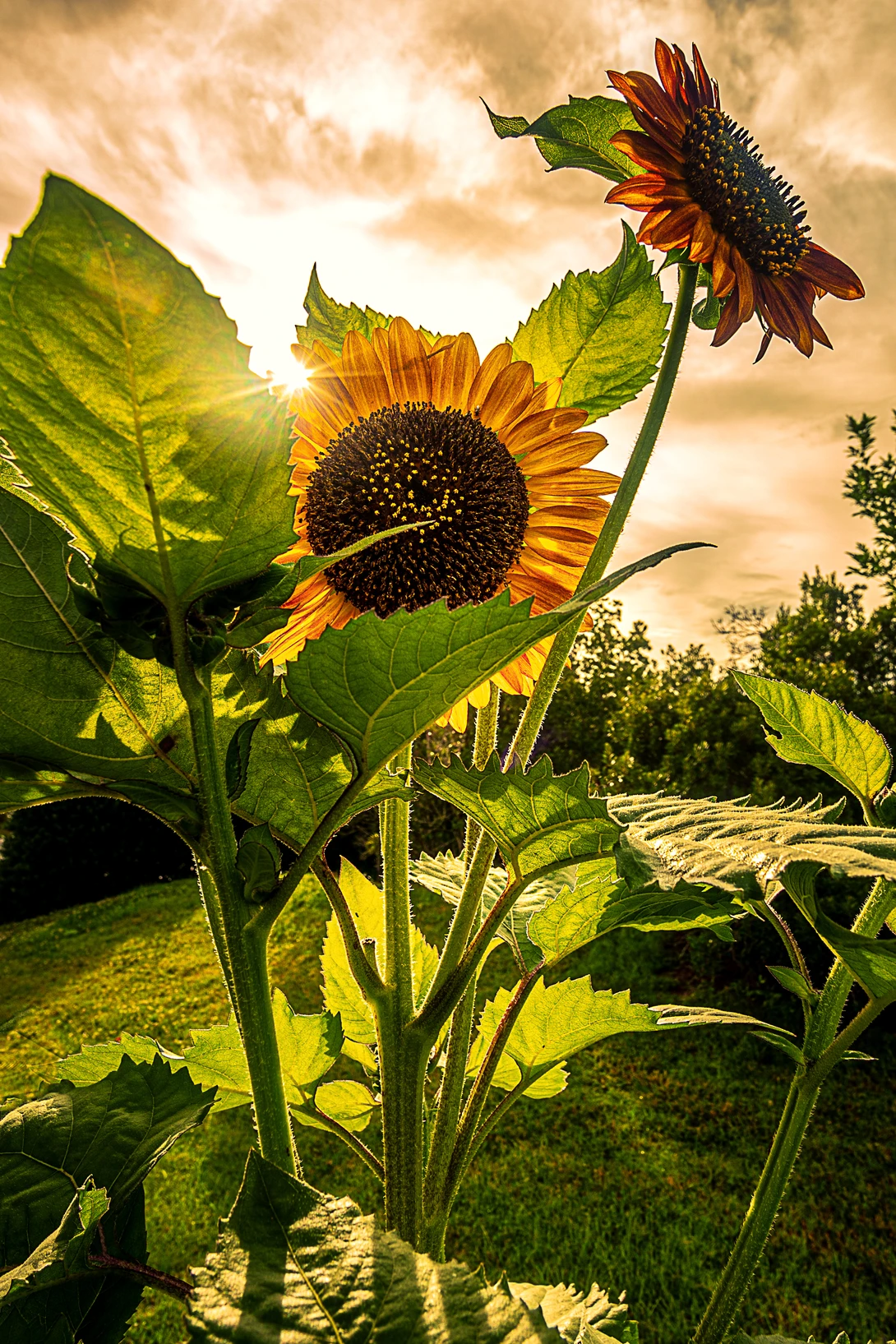 View 825841b690c4c922ed098a85c44cfe20.jpg by Kyle Foreman